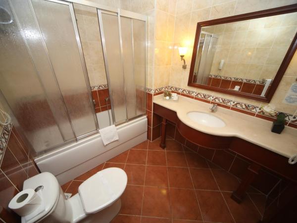 Bilek Istanbul Hotel : photo 3 de la chambre chambre double ou lits jumeaux standard