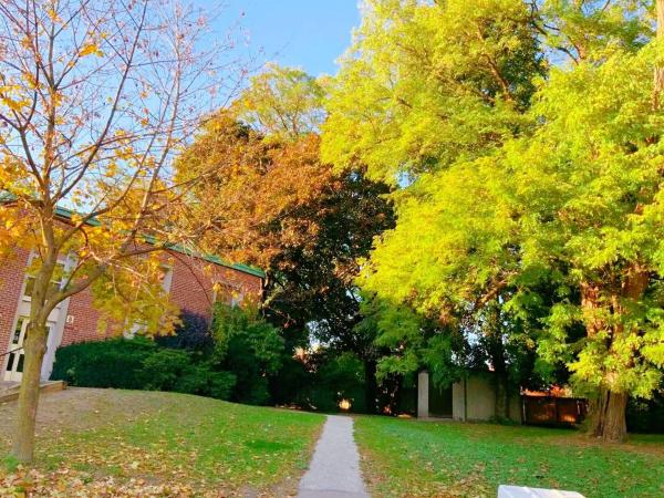 Leaside Garden Guesthouse : photo 6 de la chambre suite lit queen-size deluxe