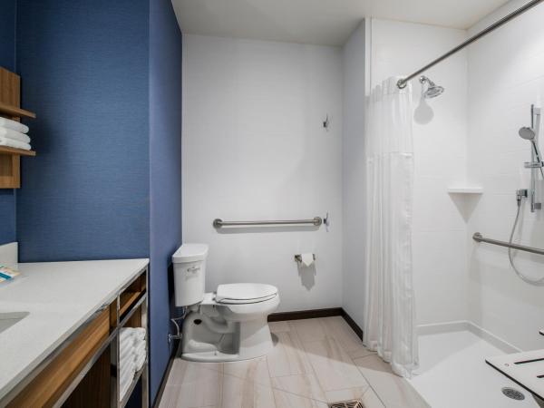 Hilton Garden Inn Winnipeg South : photo 4 de la chambre king room with roll-in shower - mobility and hearing accessible