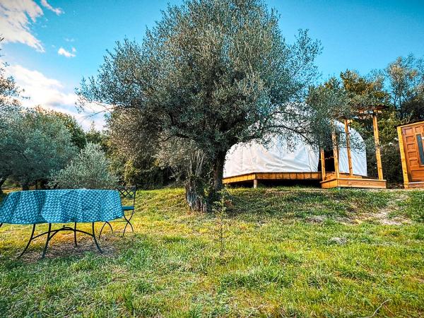 La yourte kirghize : photo 9 de la chambre tente