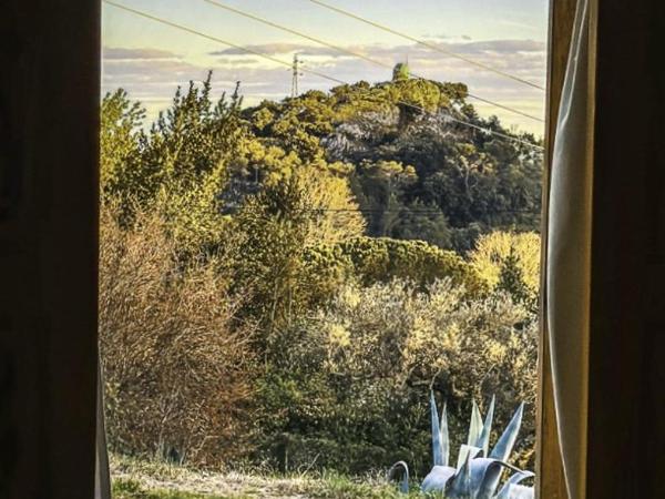 La yourte kirghize : photo 8 de la chambre tente