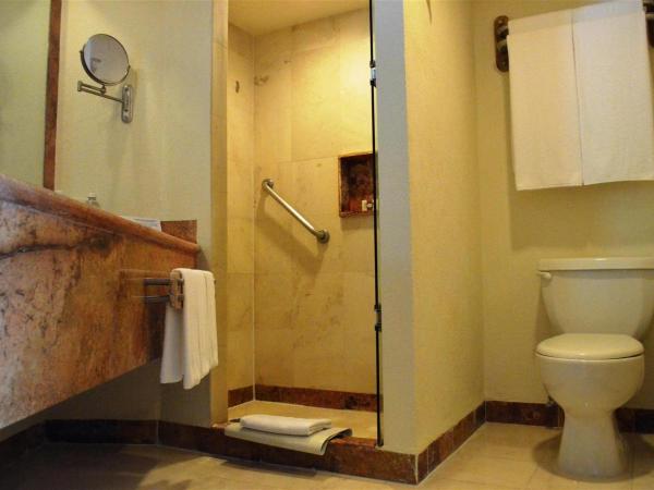 Grand Park Royal Cozumel - All Inclusive : photo 3 de la chambre hébergement deluxe - vue sur nature