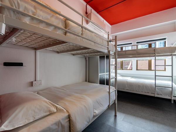 Rucksack Inn Tyrwhitt Road : photo 1 de la chambre lit simple dans dortoir de 4 lits