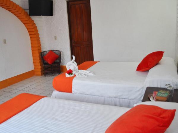 Hotel Hacienda de Vallarta Centro : photo 4 de la chambre chambre quadruple avec climatisation