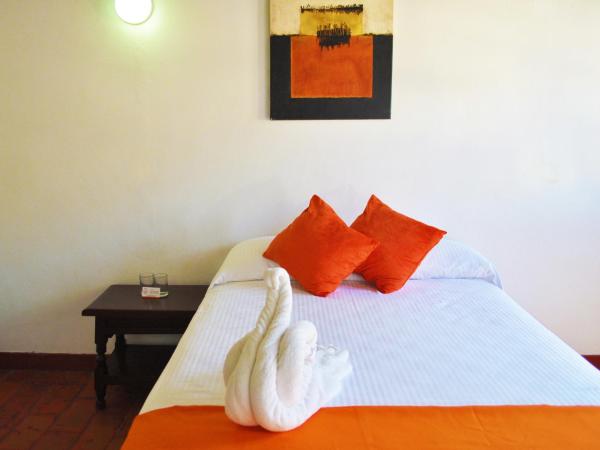 Hotel Hacienda de Vallarta Centro : photo 3 de la chambre chambre standard avec climatisation