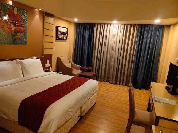 Hotel the Plaza : photo 6 de la chambre chambre double standard