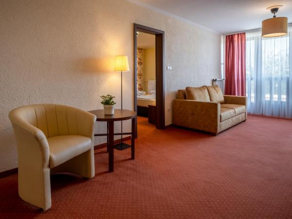 Hotel Margareta : photo 3 de la chambre suite junior