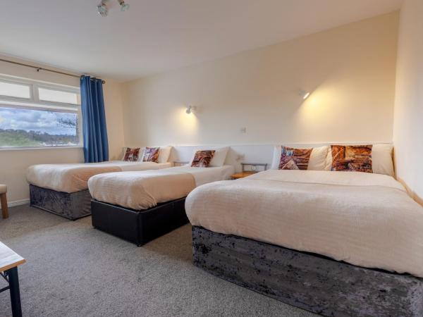 Killarney View House B&B : photo 2 de la chambre chambre familiale avec salle de bains privative