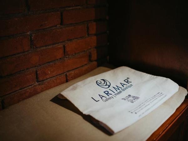 LARIMAR Gallery y Hotel Boutique : photo 1 de la chambre studio