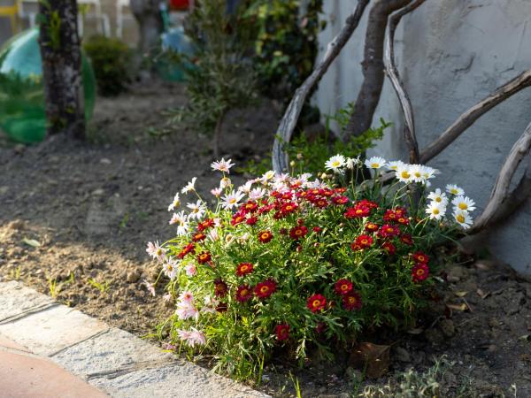B&B CASA GAGLIARDI : photo 4 de la chambre chambre familiale