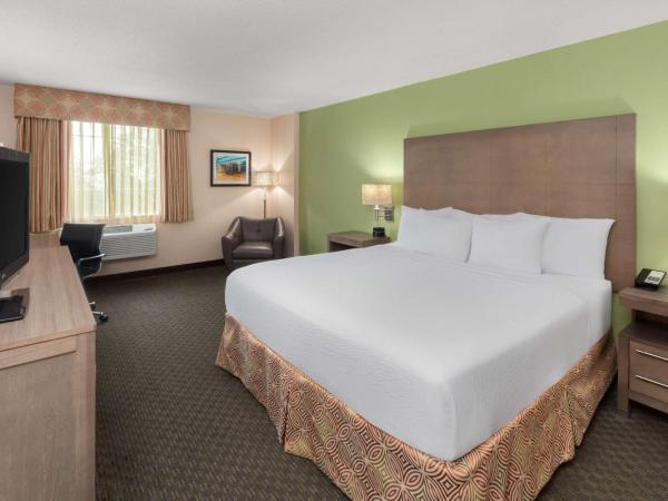 La Quinta by Wyndham San Antonio Medical Ctr. NW : photo 1 de la chambre chambre lit king-size deluxe