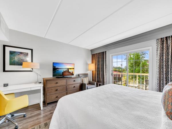 Hotel Indigo Atlanta Vinings, an IHG Hotel : photo 4 de la chambre chambre lit king-size standard