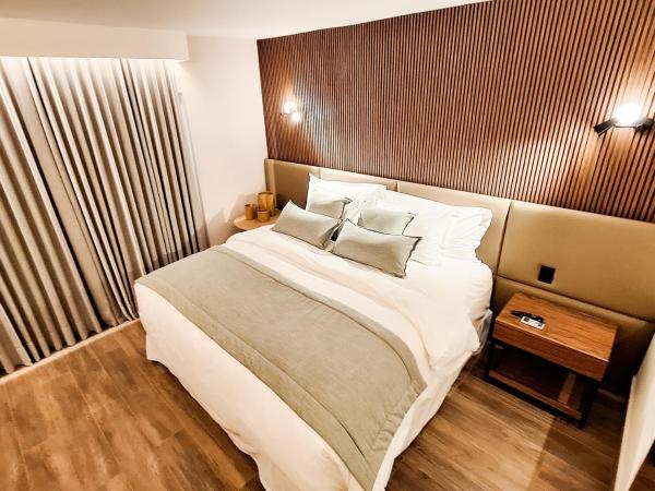 Hilton Garden Inn Belo Horizonte Lourdes : photo 3 de la chambre appartement