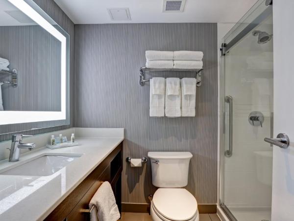 Holiday Inn - Mississauga Toronto West, an IHG Hotel : photo 6 de la chambre chambre standard avec 2 lits queen-size