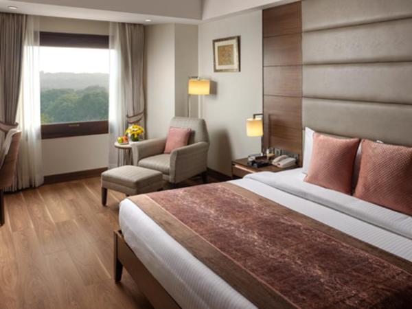 Jaypee Vasant Continental : photo 1 de la chambre executive double room with complimentary one way airport transfer, with 10% discount on food and soft beverages (not on in room dining )