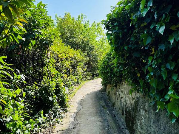 Maestro Suites : photo 7 de la chambre chambre double supérieure