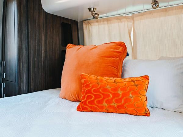 Egyptian Motor Hotel BW Signature Collection : photo 3 de la chambre queen room with sofa bed and private yard - non-smoking