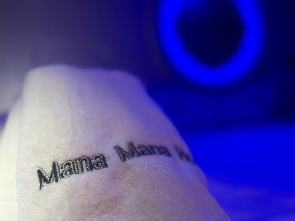 Mana Mana Hotel • Melaka • : photo 3 de la chambre chambre capsule avec salle de bains commune