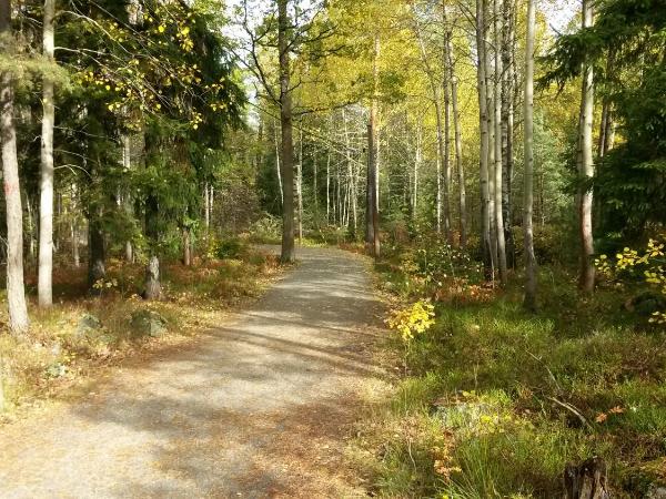 B&B Eco-Village 12 min from city : photo 7 de la chambre chambre double avec terrasse