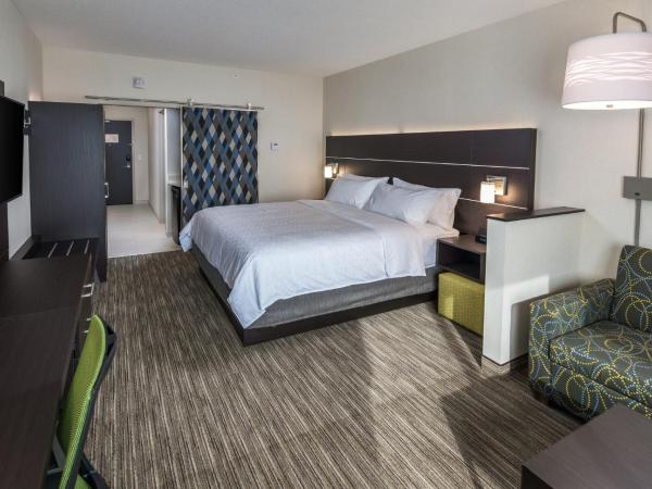 Holiday Inn Express & Suites - Saskatoon East - University, an IHG Hotel : photo 6 de la chambre suite lit king-size