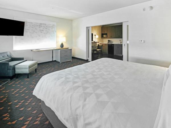 Holiday Inn Hotel & Suites - Calgary Airport North, an IHG Hotel : photo 6 de la chambre suite 1 chambre lit king-size