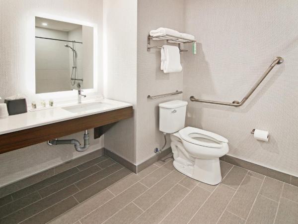 Holiday Inn Hotel & Suites - Calgary Airport North, an IHG Hotel : photo 1 de la chambre standard king room with roll-in shower - communications access