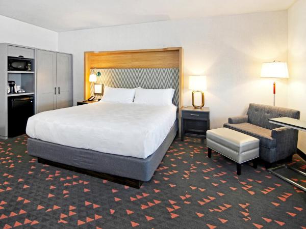 Holiday Inn Hotel & Suites - Calgary Airport North, an IHG Hotel : photo 2 de la chambre chambre lit king-size standard