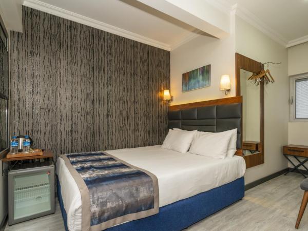 The Bostancı Otel : photo 2 de la chambre chambre double Économique