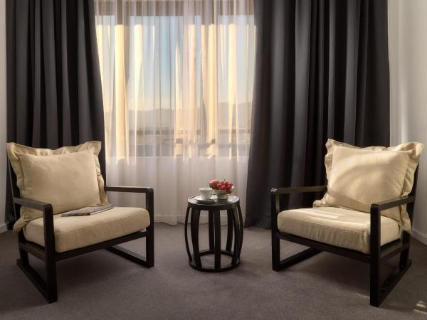 Hotel Atrium : photo 4 de la chambre chambre double ou lits jumeaux supérieure