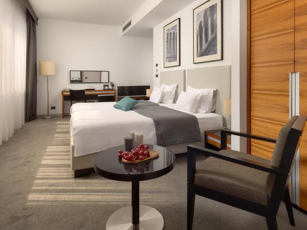 Hotel Atrium : photo 6 de la chambre chambre double ou lits jumeaux supérieure