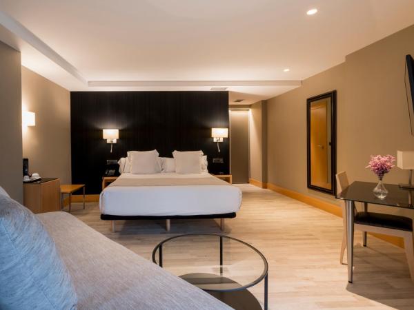 Hotel Plaza : photo 1 de la chambre chambre double ou lits jumeaux premium