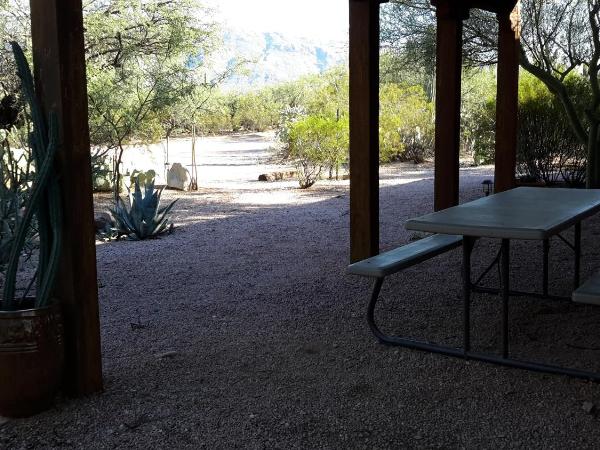 Desert Trails Bed & Breakfast : photo 3 de la chambre bungalow - vue sur jardin