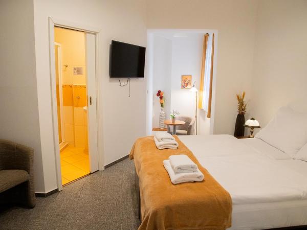 Old Prague House : photo 1 de la chambre chambre double ou lits jumeaux avec salle de bains privative