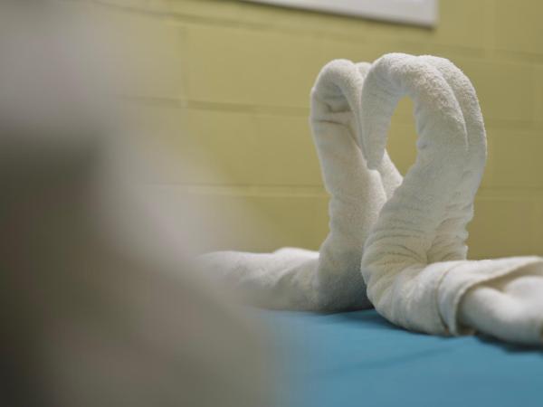 Silverfern Backpackers : photo 4 de la chambre chambre double Économique