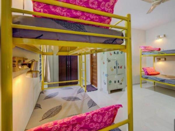 White Camel companies : photo 5 de la chambre lit dans dortoir mixte de 6 lits