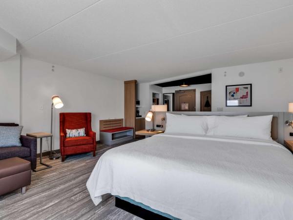 Hilton Garden Inn Myrtle Beach/Coastal Grand Mall : photo 1 de la chambre chambre lit king-size avec canapé-lit