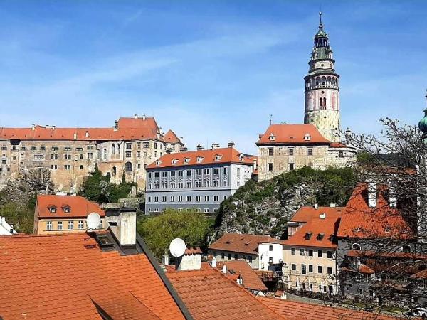 Hotel Konvice : photo 5 de la chambre suite