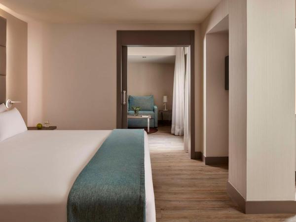 NH Madrid Zurbano : photo 1 de la chambre suite junior