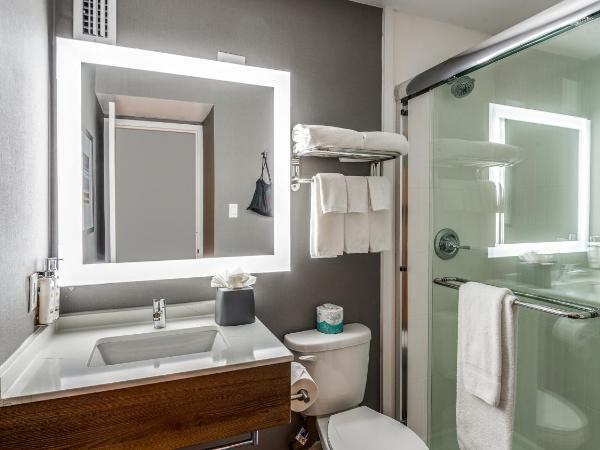 Staybridge Suites Dallas Market Ctr Love Field, an IHG Hotel : photo 5 de la chambre suite studio lit king-size