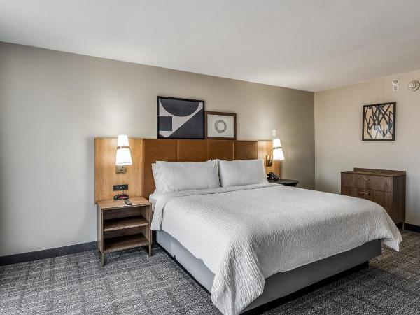 Staybridge Suites Dallas Market Ctr Love Field, an IHG Hotel : photo 10 de la chambre suite 1 chambre