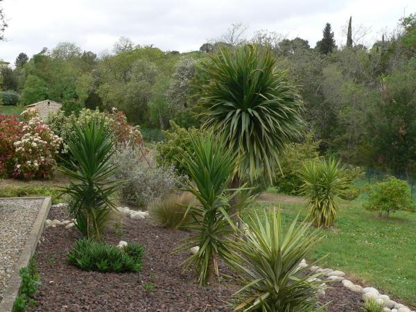 La petite chambre du lac : photo 6 de la chambre chambre double avec salle de bains privative