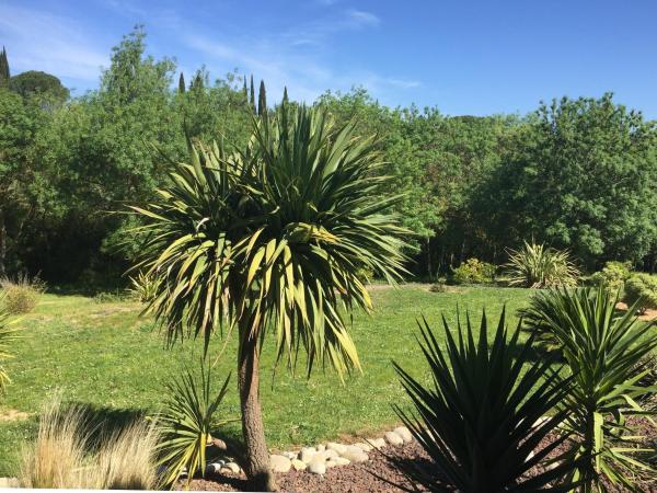 La petite chambre du lac : photo 7 de la chambre chambre double avec salle de bains privative