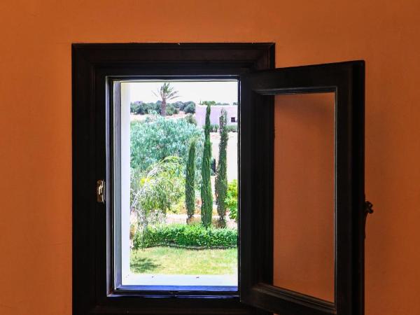 Essaouira Lodge : photo 8 de la chambre chambre double - vue panoramique