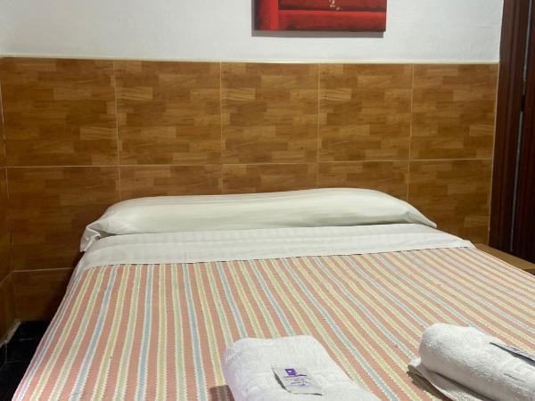 La Ferroviaria -Pensión No Fumadores - Sin Ascensor : photo 7 de la chambre chambre double avec salle de bains privative