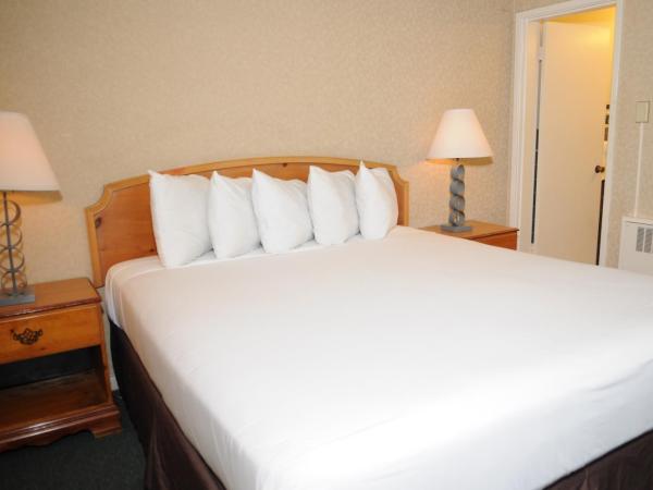 Civic Center Motor Inn : photo 2 de la chambre chambre supérieure lit king-size ou lit queen-size - non-fumeurs