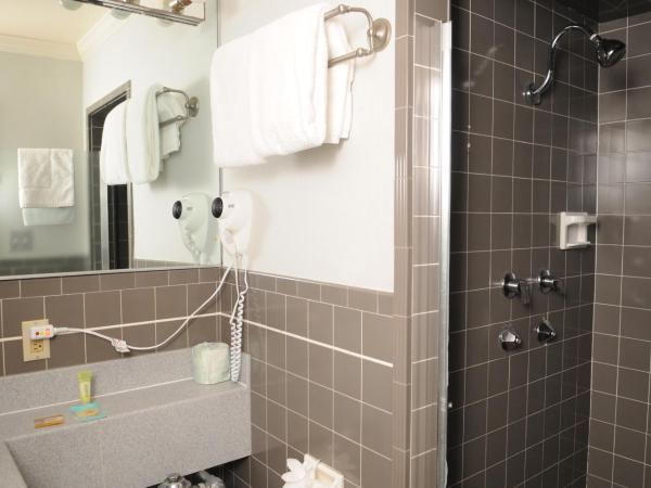 Civic Center Motor Inn : photo 5 de la chambre chambre supérieure lit king-size ou lit queen-size - non-fumeurs