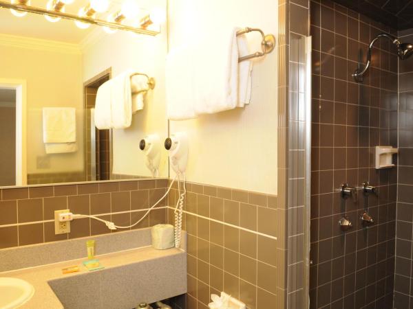 Civic Center Motor Inn : photo 7 de la chambre chambre supérieure avec 2 lits doubles - non-fumeurs