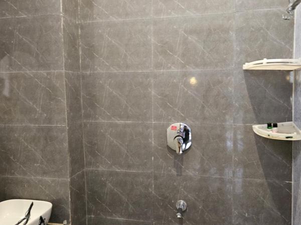 The Indraj Palace Hotel : photo 5 de la chambre chambre double avec balcon