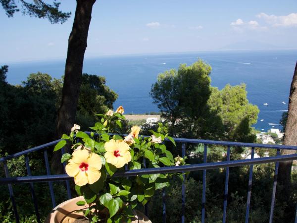 La Casa nel Bosco : photo 6 de la chambre chambre lit king-size - vue sur mer