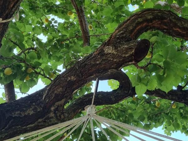 Habitat Eco Farm : photo 2 de la chambre tente